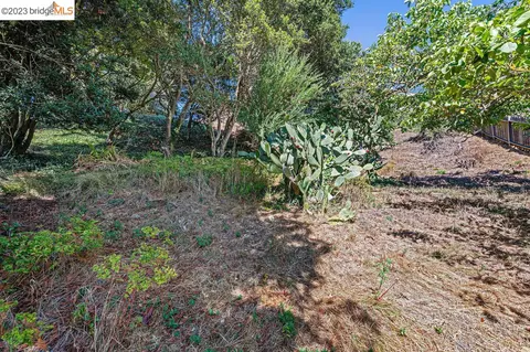 614 Cragmont Ave, Berkeley, CA 94708 photo 8