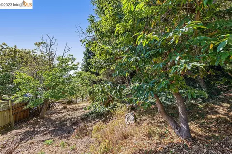 614 Cragmont Ave, Berkeley, CA 94708 photo 4