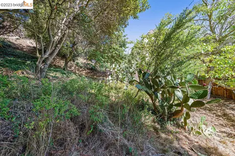 614 Cragmont Ave, Berkeley, CA 94708 photo 7