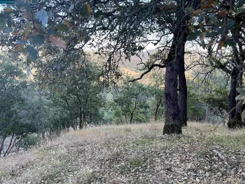 196 Country Club Ln, Napa, CA 94558