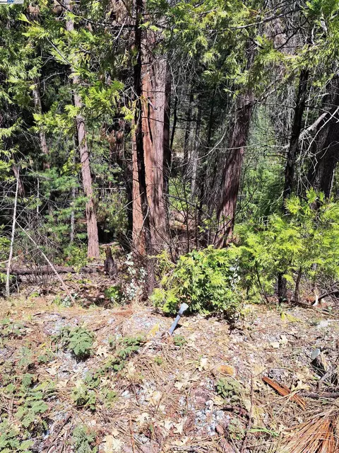 Sly Park, Pollock Pines, CA 95726 photo 2