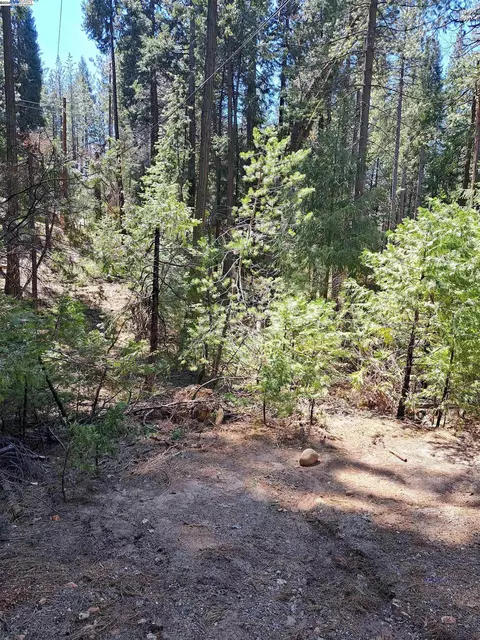 Sly Park, Pollock Pines, CA 95726 photo 10
