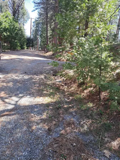Sly Park, Pollock Pines, CA 95726 photo 7
