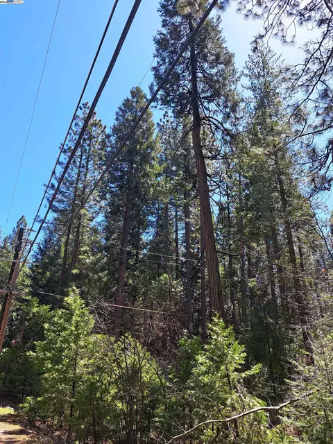 Sly Park, Pollock Pines, CA 95726 photo 13