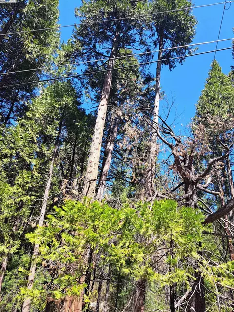 Sly Park, Pollock Pines, CA 95726 photo 3