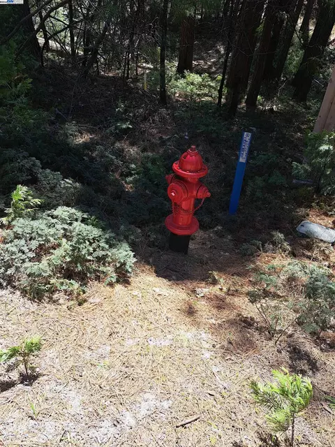 Sly Park, Pollock Pines, CA 95726 photo 9