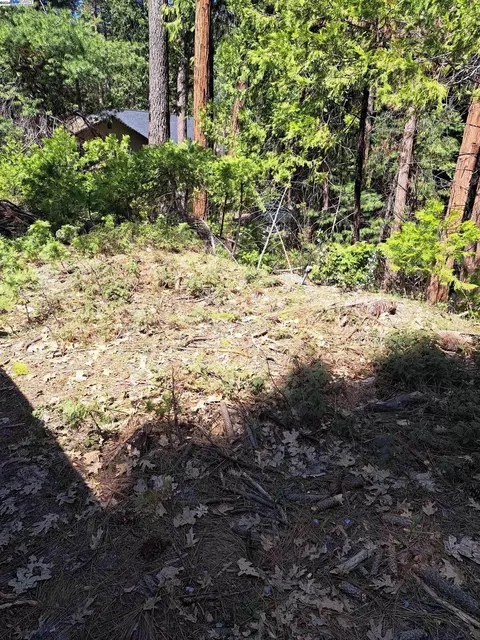 Sly Park, Pollock Pines, CA 95726 photo 5