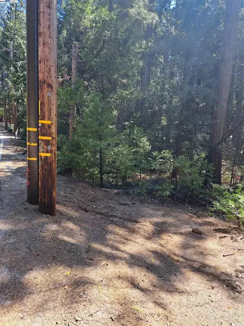 Sly Park, Pollock Pines, CA 95726 photo 12
