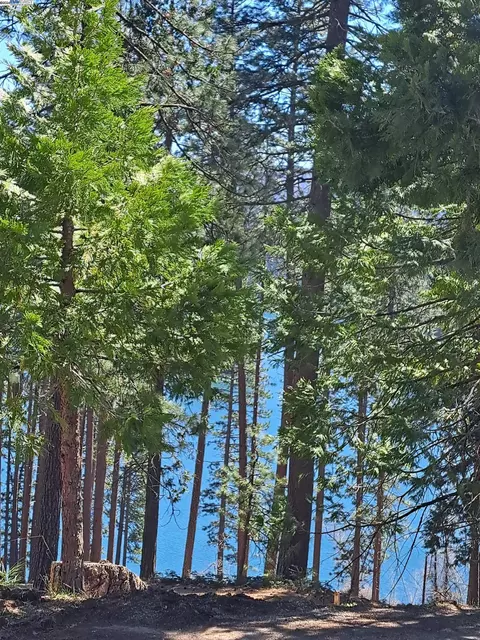 Sly Park, Pollock Pines, CA 95726 photo 16