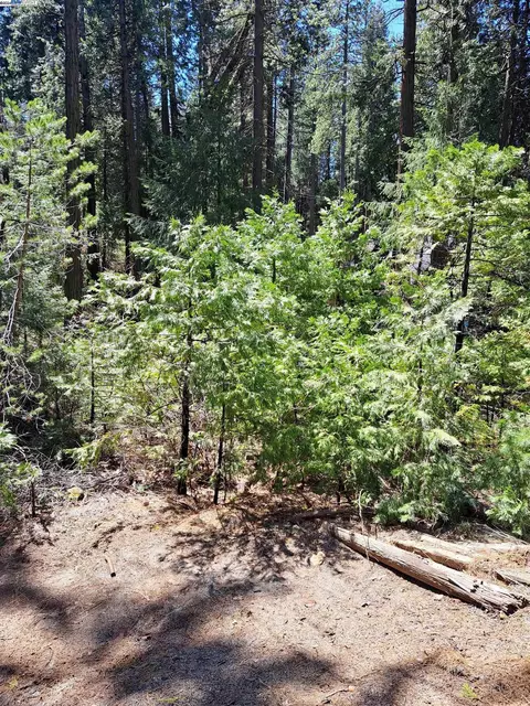 Sly Park, Pollock Pines, CA 95726 photo 11