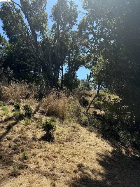 135 Spring Rd, Orinda, CA 94563 photo 1