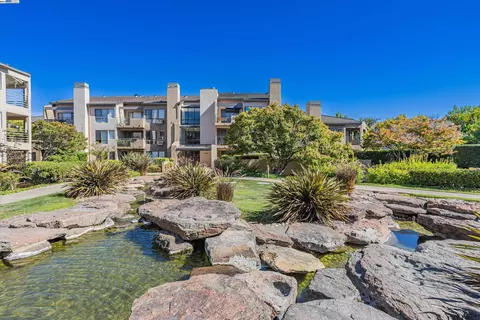 39206 Guardino Dr #106, Fremont, CA 94538