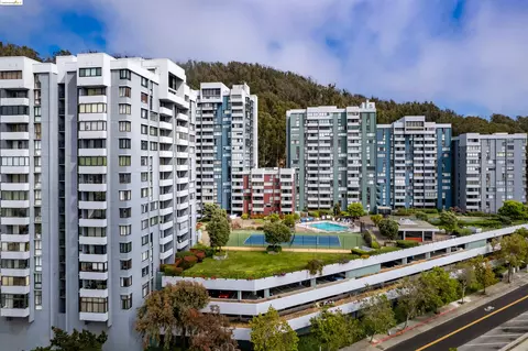 555 Pierce St #1032, Albany, CA 94706