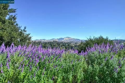 2132 Golden Rain Rd #7, Walnut Creek, CA 94595