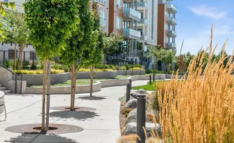 45128 Warm Springs Blvd #311, Fremont, CA 94539