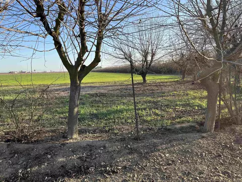 Exterior - 1290 Orange Ave, Patterson, CA 95363 photo 11 of 17