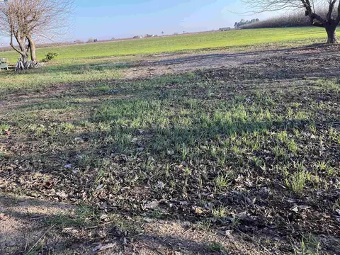 Exterior - 1290 Orange Ave, Patterson, CA 95363 photo 10 of 17