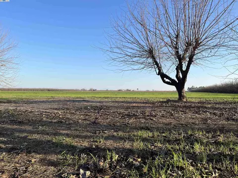 Exterior - 1290 Orange Ave, Patterson, CA 95363 photo 12 of 17