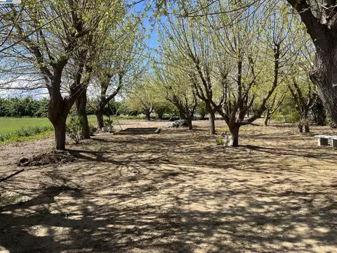 Exterior - 1290 Orange Ave, Patterson, CA 95363 photo 5 of 17