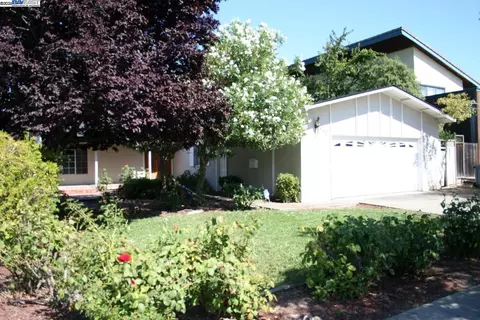 842 S Blaney Ave, Cupertino, CA 95014 photo 1