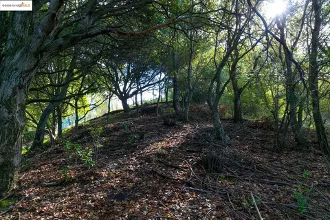 26 Lucille Way, Orinda, CA 94563 photo 8