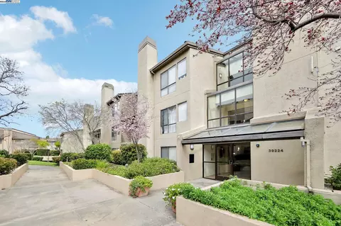39224 Guardino Dr #310, Fremont, CA 94538