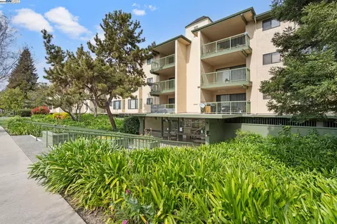 38780 Tyson Ln #206C, Fremont, CA 94536