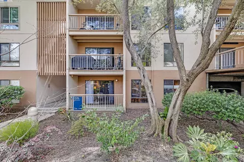 420 N Civic Dr #101, Walnut Creek, CA 94596