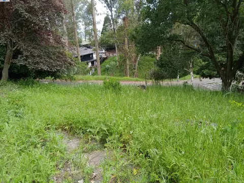 1375 Queens Rd, Berkeley, CA 94708 photo 9