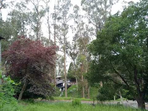 1375 Queens Rd, Berkeley, CA 94708 photo 7