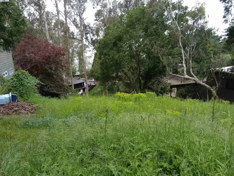 1375 Queens Rd, Berkeley, CA 94708 photo 6