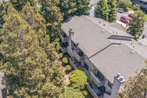 1138 Walpert St, Hayward, CA 94541 photo 1