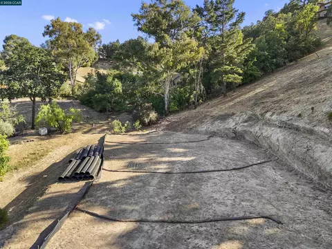 221 Dean Rd, Alamo, CA 94507