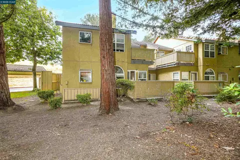 Exterior - 1407 Forest Run, Hercules, CA 94547 photo 7 of 10