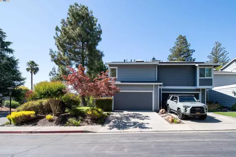 498 Via Royal, Walnut Creek, CA 94597 photo 1