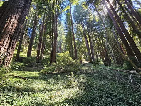 lot26 Old La Honda Rd, Woodside, CA 94062