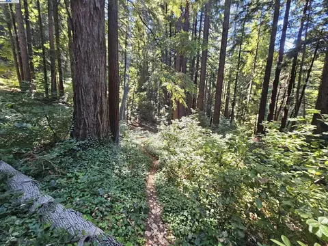 lot27 Old La Honda Rd, Woodside, CA 94062
