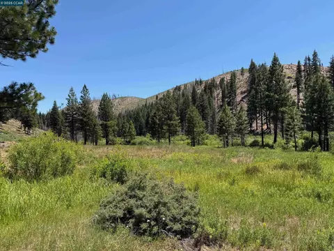 0000 Ohio Vly, Canyondam, CA 95923