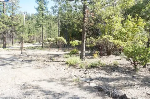 101 River Acres, Junction City, CA 96048 photo 17
