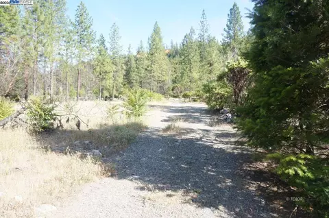 101 River Acres, Junction City, CA 96048 photo 15