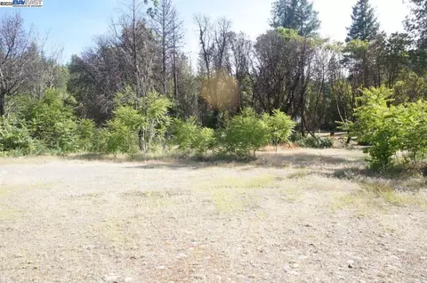 101 River Acres, Junction City, CA 96048 photo 8