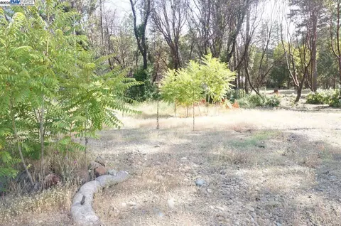 101 River Acres, Junction City, CA 96048 photo 5
