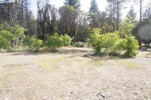 101 River Acres, Junction City, CA 96048 photo 9