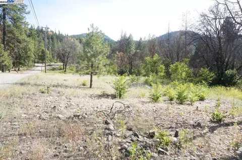 101 River Acres, Junction City, CA 96048 photo 24