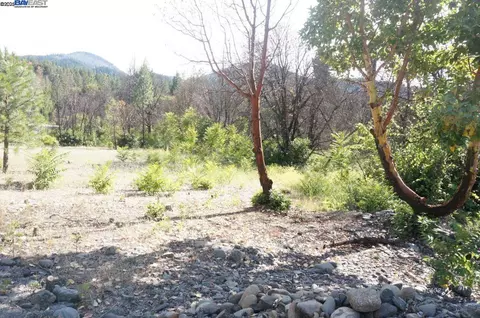 101 River Acres, Junction City, CA 96048 photo 22
