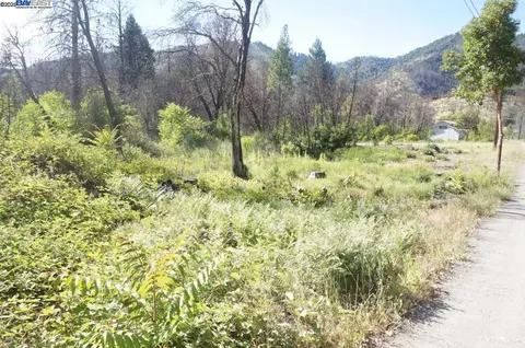 101 River Acres, Junction City, CA 96048 photo 19