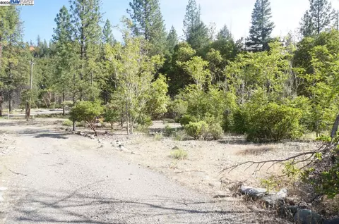 101 River Acres, Junction City, CA 96048 photo 16