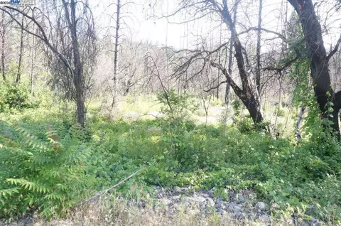 101 River Acres, Junction City, CA 96048 photo 27
