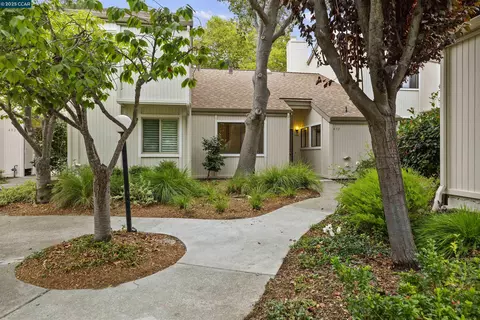 490 Rheem Blvd, Moraga, CA 94556 photo 1
