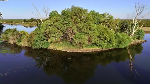 Goldrift Island, Byron, CA 94514